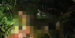 Sopir Truk Ditemukan Bersimbah Darah di Kebun Sawit