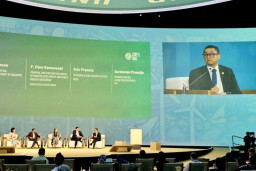 Ini Program dan Strategi Transisi Energi PLN dalam Wujudkan Dekarbonisasi Nasional