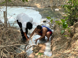 Soal Pencermaran Lingkungan di Ponorogo, Polisi Ambil Sampel Air