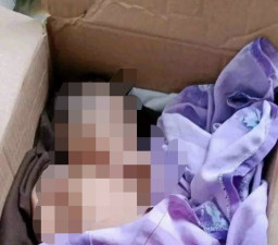 Bayi Dalam Kardus Dibuang di Rumah Kosong
