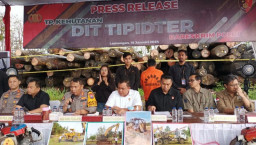 Kayu Terkirim ke Lamongan, Bareskrim Ungkap Kasus Ilegal Logging di Kalimantan Tengah