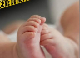 Warga Heboh, Lihat Anjing Bawa Potongan Tubuh Bayi