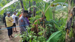 Polisi Tetapkan Ibu Pembuang Bayi di Metesih Jiwan sebagai Tersangka