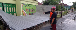Hujan Angin di Ponorogo, Puluhan Pohon Roboh, Atap Rumah Porak Poranda