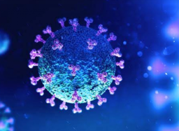 Eek Sudah Ada di Jakarta sejak Februari Lalu