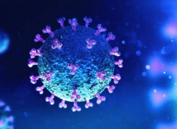 Berbagai Macam Varian Covid 19, Diberi Nama Alfabet Yunani