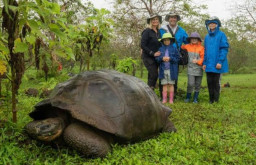 Ditemukan, Kura-Kura Raksasa yang Dikira Punah sejak 100 Tahun Lalu