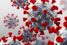 Pemkab Manggarai Larang ASN  Mudik atau Bepergian Ke Luar Daerah