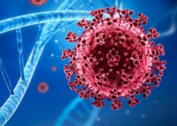 3 Varian Baru Covid 19 Sudah Masuk Indonesia, Diyakini Lebih Ganas