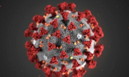 Di Vietnam, Ditemukan Virus Covid 19 Hibrida dan Ditengarai Lebih Ganas, Apa Itu?