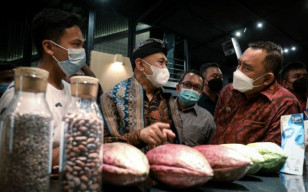 Bali Didorong Maksimalkan Kakao sebagai Komoditas Unggulan