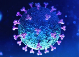 Kena Covid 19 Bisa Sembuh dengan Obat Warung