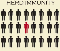 Herd Immunity di Indonesia, Terbentuk Agustus dan September