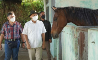 Peningkatan Kualitas Kuda Pacu Lokal Akan Mampu Tingkatkan Kesejahteraan Peternak