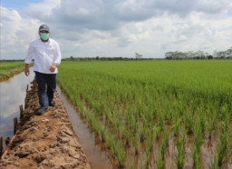 Pembangunan Infrastruktur Terpadu Tingkatkan Daya Saing