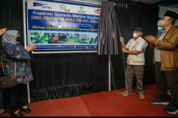 Menkop UKM Dorong 1.000 Penyadap Nira Banyumas Berkoperasi Pasarkan Gula Semut