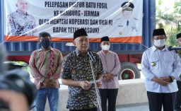 Tekan Impor, Diluncurkan Cangkul Merah Putih Berlabel SNI