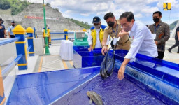 Basuki Dampingi Jokowi Resmikan Bendungan Multifungsi Karalloe