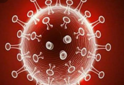 60 Wilayah di Indonesia Zona Merah, Surabaya Lolos