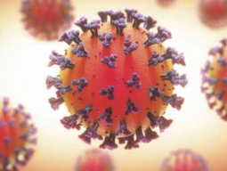 Omicron, Varian Covid-19 Asal Afrika Selatan, Tak Bisa Dilawan Vaksin