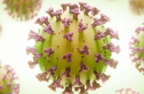 Perang Rusia vs Ukraina Bisa Munculkan Varian Baru Covid 19