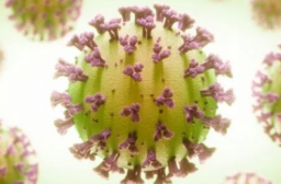 Epidemiolog Tuding Pemerintah Tak Serius Urusi Omicron