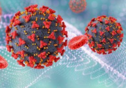 Pasien yang Sembuh Jauh Lebih Banyak dari Penambahan Kasus Baru