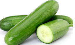 Wanita Ini Kesakitan, ternyata Ada Mentimun Masuk di Miss V-nya