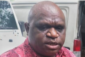 Pigai Tuding, Ganjar dan Jokowi Rasis dan Kuras Kekayaan Papua