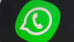 WhatsApp Tumbang, Semua Panik