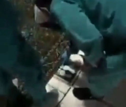 Sholat di Masjidi Haram, Boleh Rapat Shafnya