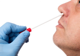 Ingat dan Catat! Naik Mobil Atau Motor 250 KM juga Diwajibkan Tes PCR