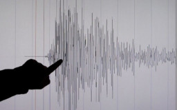 Tonga Digoyang Gempa 7,3 Skala Richter, Berpotensi Tsunami