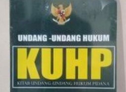 Menurut PBB, KUHP Baru Indonesia Melanggar Kebebasan Dasar dan HAM