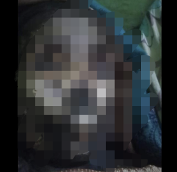 Jasad Anak Sendiri Disimpan Orang Tuanya selama 2 Bulan