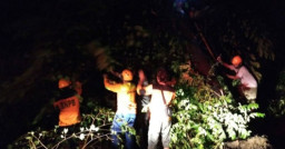 Angin Kencang di Sragen Sebabkan 34 Rumah Rusak Ringan dan Pohon Tumbang