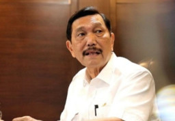 Jokowi Ditantang Pecat Luhut, Berani?