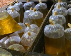 Subsidi Minyak Goreng Curah Resmi Berakhir