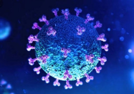 Omicron BA.4 dan BA.5 Diprediksi Memuncak di Bulan Juli