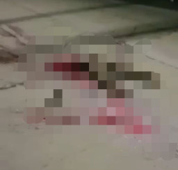 Hadang Truk demi Konten, Tubuh Remaja Ini Hancur Berantakan