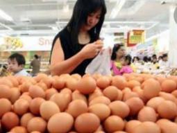 Harga Telur Tembus Rp 54 Ribu per Kg