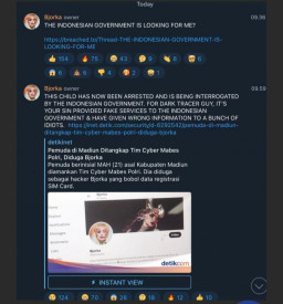 Bjorka Aktif lagi, malah Ngejek, Buktikan Pemerintah Indonesia Salah Tangkap lagi