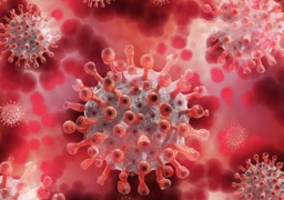 Pengendalian Covid 19 makin Baik, Tanda Pandemi segera Berakhir di Indonesia