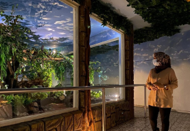 Ingat! Pengunjung Kebun Binatang Surabaya, Dilarang Menggelar Tikar