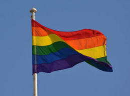 Terbukti LGBT, Anggota TNI Dipecat