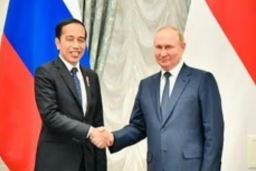 Jokowi Klaim Zelensky Titip Pesan, Ini Kata Pemerintahan Rusia