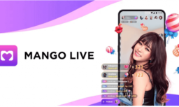 Live Bugil dan Raup Puluhan Juta Sebulan, Wanita Seksi Ini Diringkus Polisi