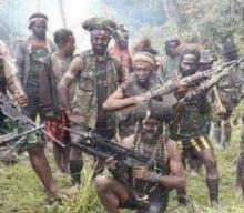 11 Warga Sipil Dibunuh KKB Papua