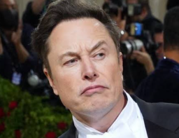 Diisukan Selingkuh dengan Istri Pendiri Google, Elon: Saya Sudah Lama Tak Bercinta