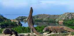 Masuk  Taman Nasional Komodo, Wisatawan Harus Bayar Rp 3,75 Juta per Kepala